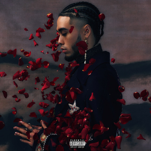 亚洲成本人片在线观看
