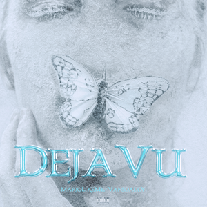 亚洲成本人片在线观看
