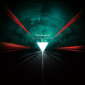 亚洲成本人片在线观看
