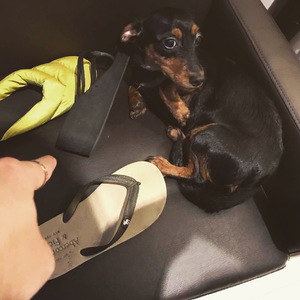 亚洲成本人片在线观看
