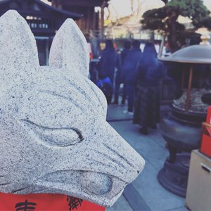 亚洲成本人片在线观看
