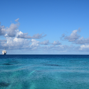 亚洲成本人片在线观看
